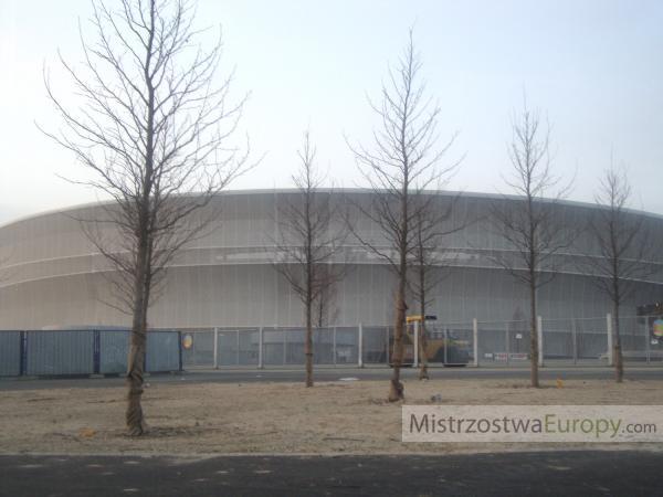 Stadion Wrocław i drzewa